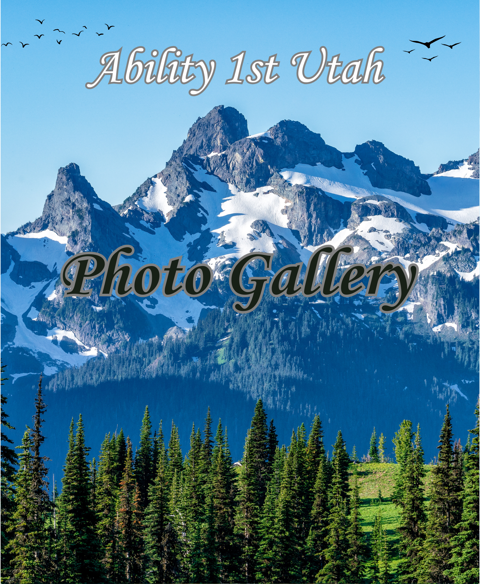 Ability 1st Utah (14.8 x 18 cm) (1)